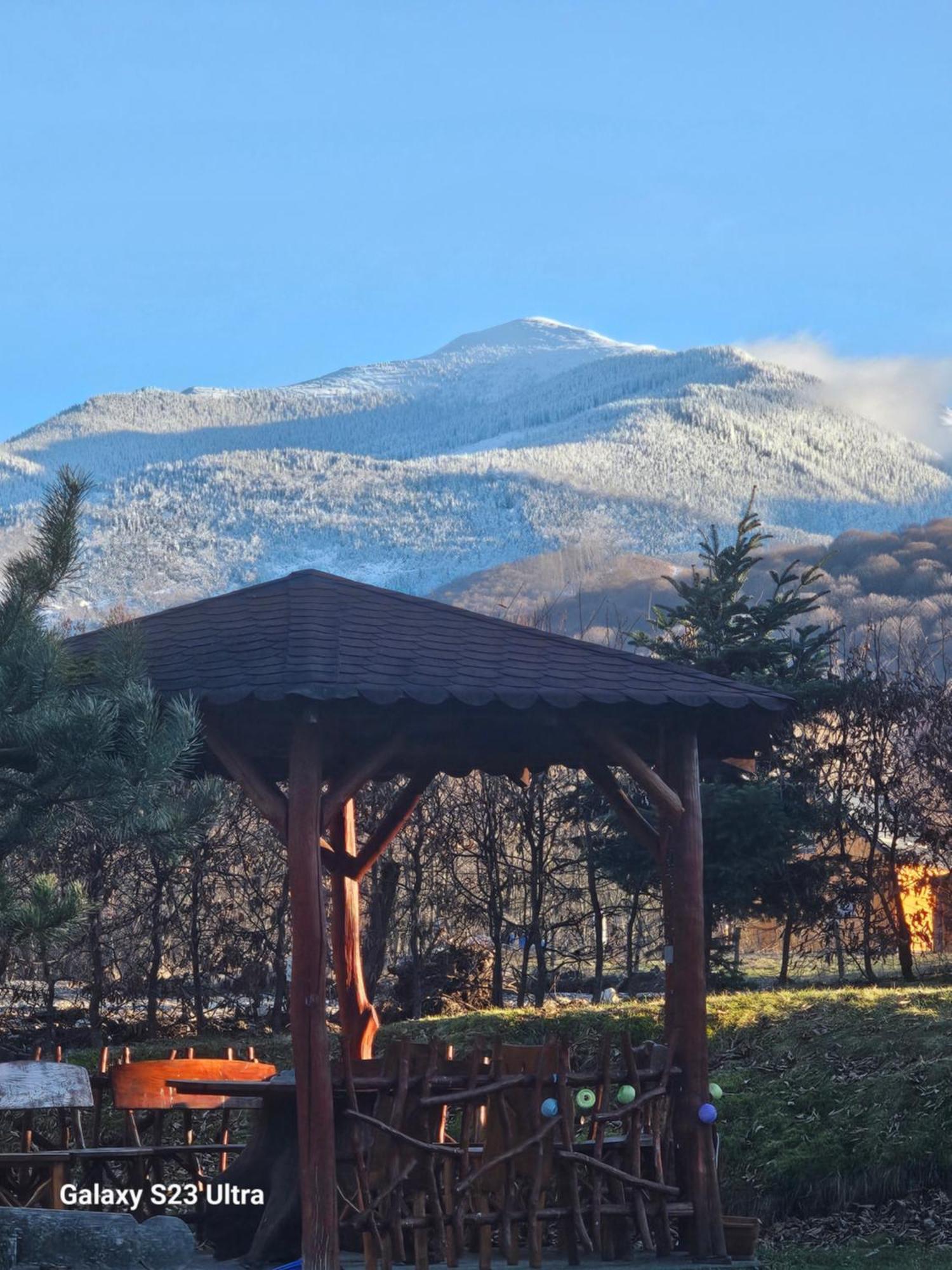 Casa De Vacanta Marin Arpaşu de Sus Екстериор снимка