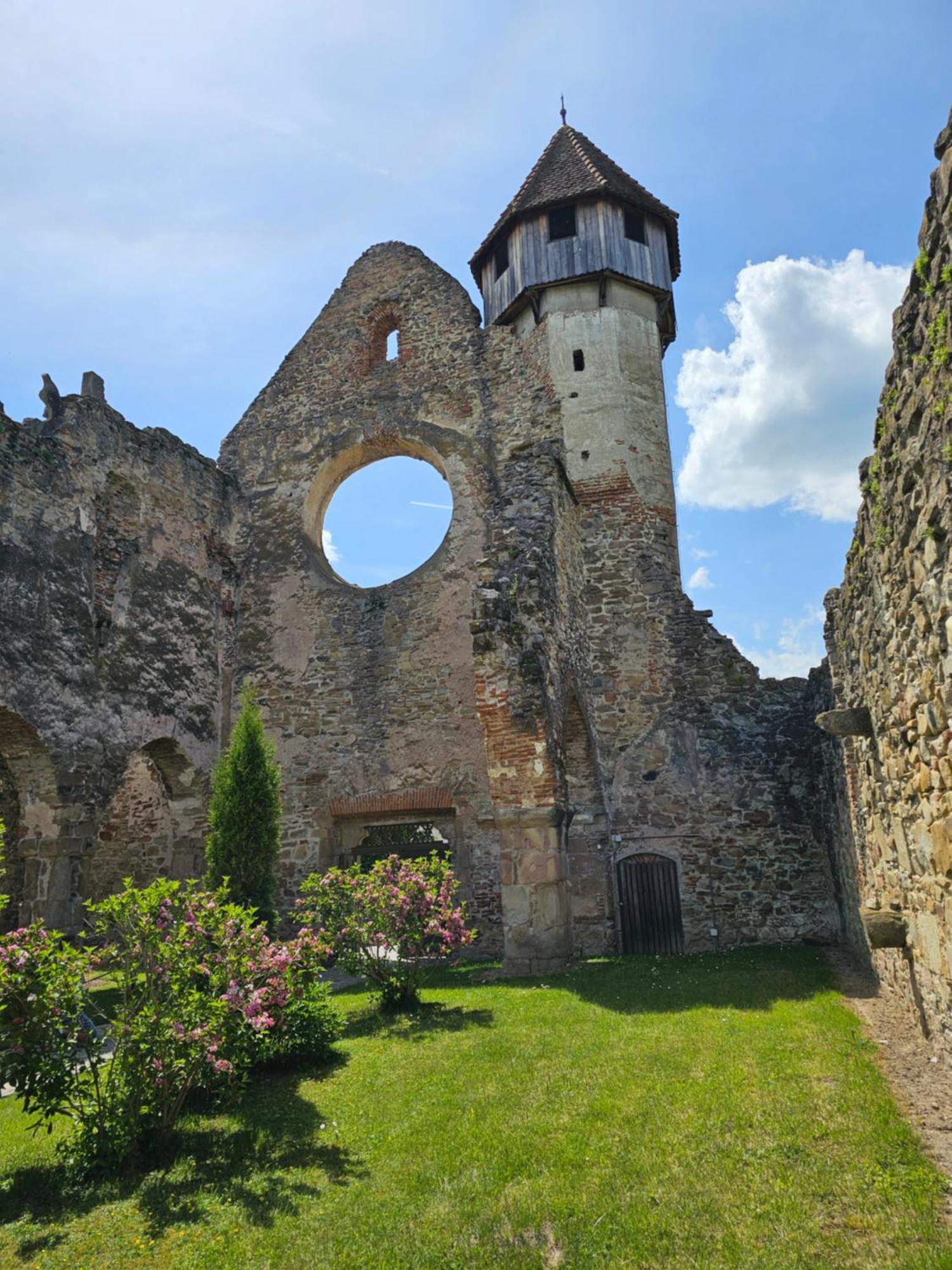 Casa De Vacanta Marin Arpaşu de Sus Екстериор снимка