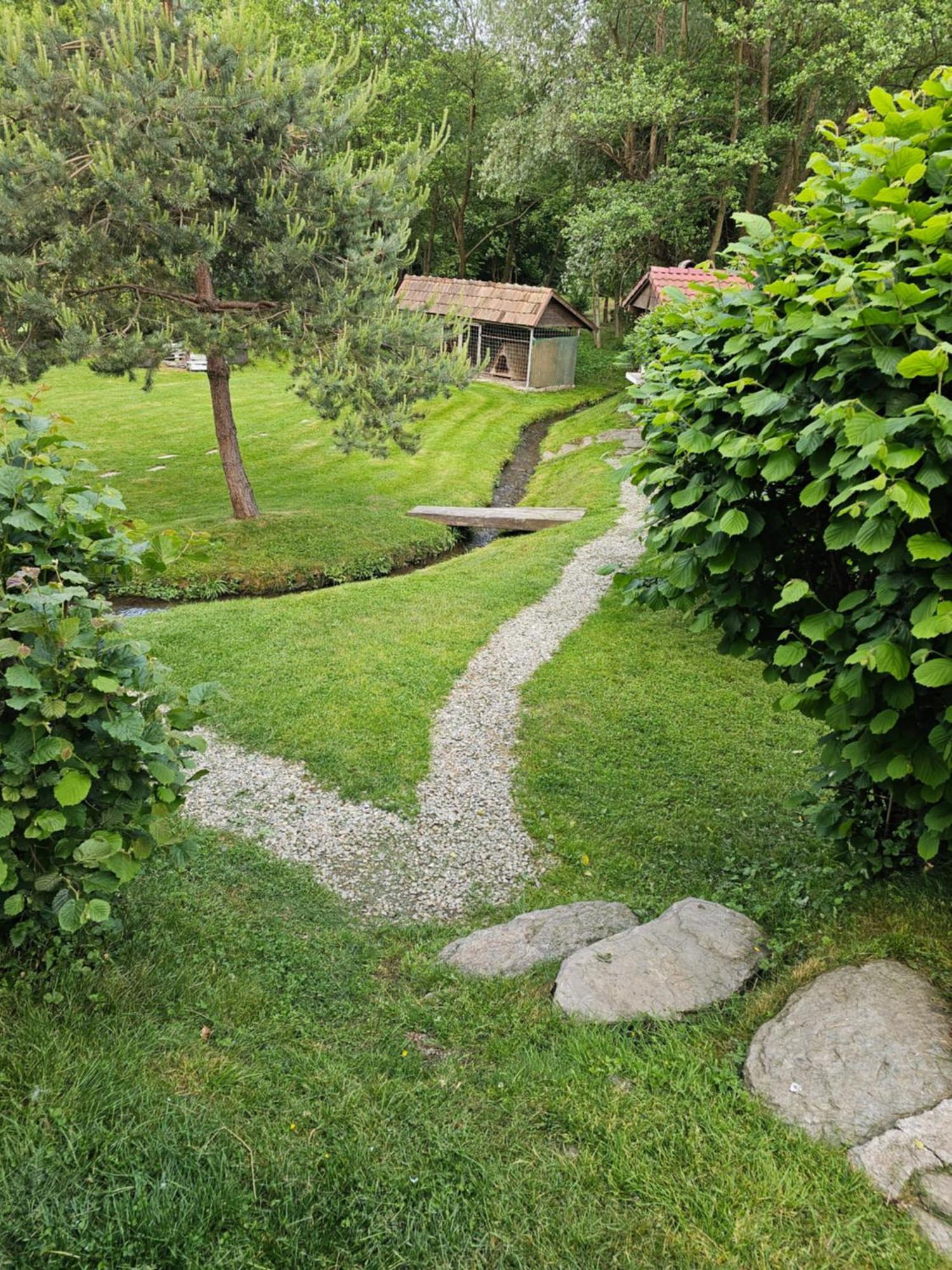 Casa De Vacanta Marin Arpaşu de Sus Екстериор снимка