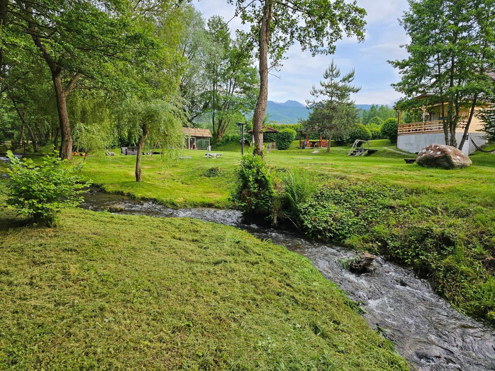 Casa De Vacanta Marin Arpaşu de Sus Екстериор снимка