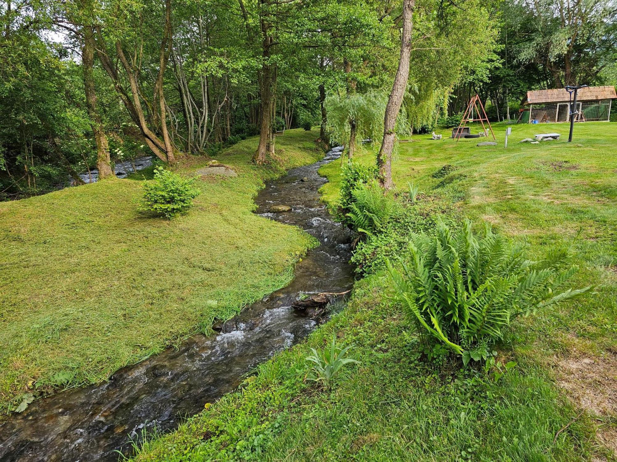 Casa De Vacanta Marin Arpaşu de Sus Екстериор снимка