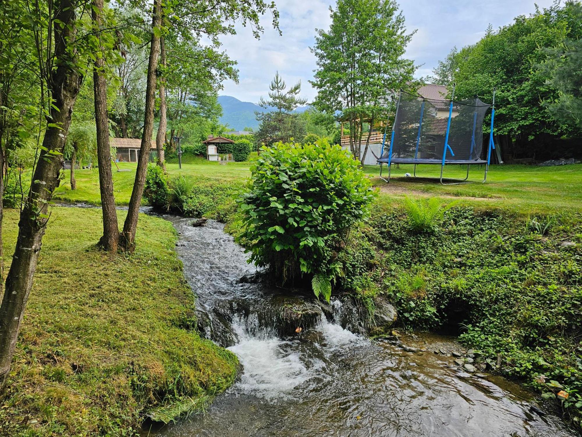 Casa De Vacanta Marin Arpaşu de Sus Екстериор снимка