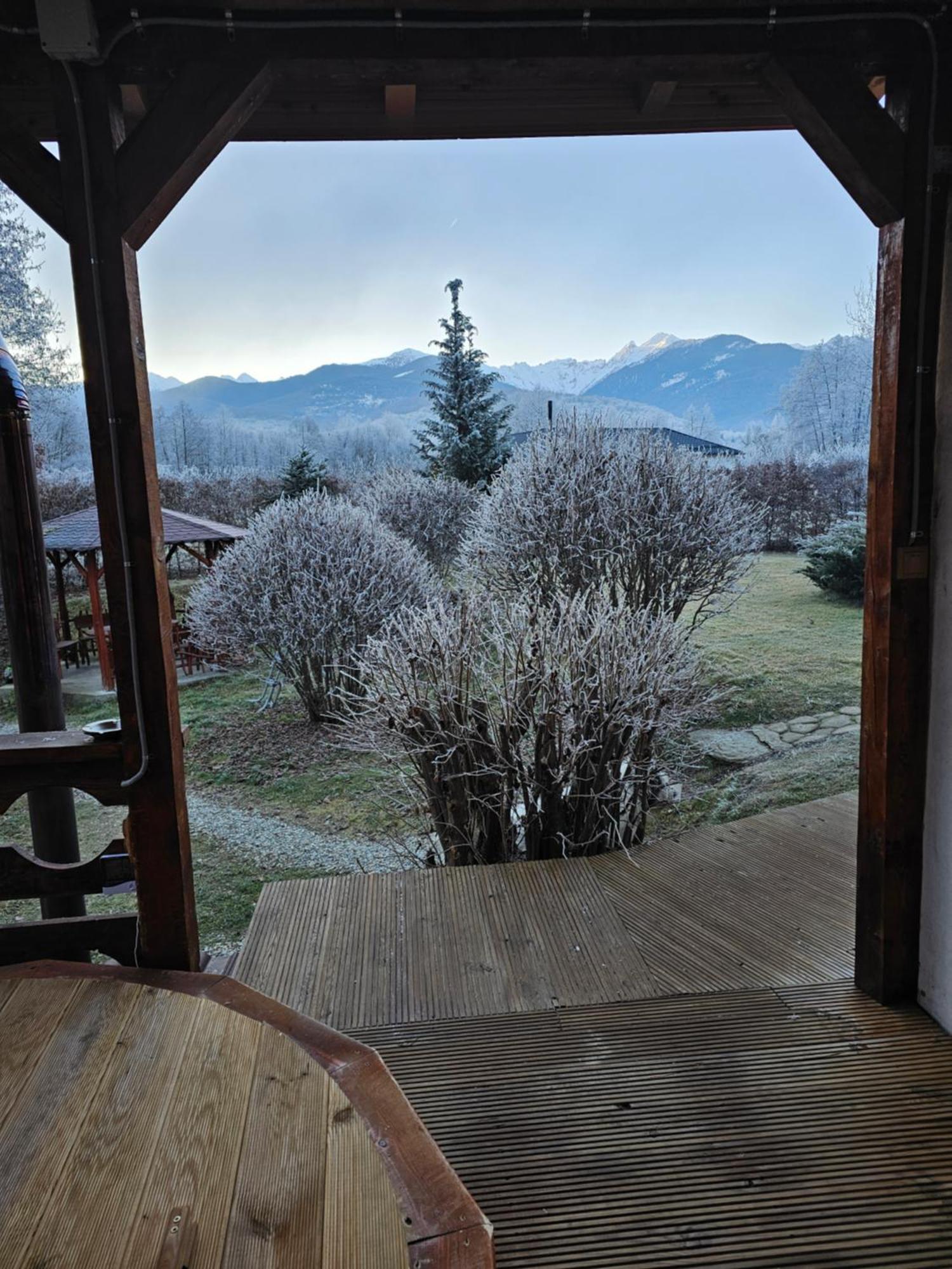 Casa De Vacanta Marin Arpaşu de Sus Екстериор снимка